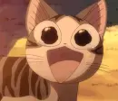 Chi's Sweet Home 48