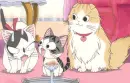 Chi's Sweet Home 50