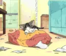 Chi's Sweet Home 54