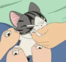 Chi's Sweet Home 55