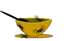 spider soup