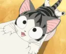 Chi's Sweet Home 59