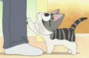 Chi's Sweet Home 60