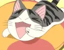 Chi's Sweet Home 62