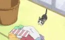 Chi's Sweet Home 65