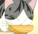 Chi's Sweet Home 66