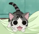 Chi's Sweet Home 70