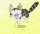 Chi's Sweet Home 78