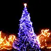 blue christmas tree