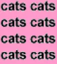cats cats cats