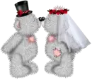 Creddy Bears