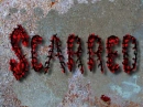 scarred the best t.v show