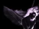 //fallen angel//