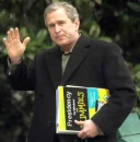 ...Bush...