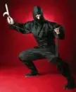 Ninja