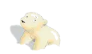 Polar bear