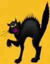 Black Cat