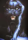 Black Cat