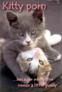 Kitty porn