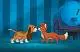 fox and the hound