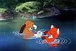 fox and the hound