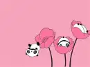 pandas