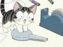 Chi's Sweet Home 82