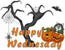 Happy Wednesday