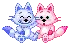 Cat couple