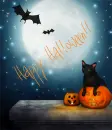 Happy Halloween!
