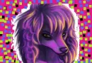 funky dog