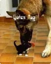 HALLO IN GERMAN