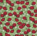 LADYBUGS AND DAISYS