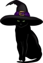 Cat With A Witch Hat