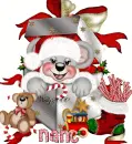nanc