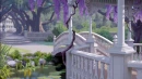 Princess and the frog background