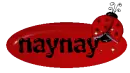 naynay ladybug