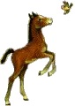http://67.228.56.241/pub/3174/3174647ktkxtqem5v.jpg