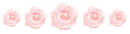 cute roses