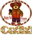 Fall bear
