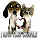 I LOVE IT