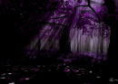 Purple Forest background