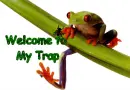 welcome to my trap