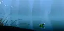 Ray dies