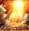 Fall