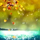 Fall