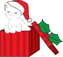 Kitty In A Box