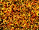 Harvest Background