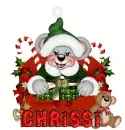 chrissi