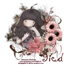 Gied
